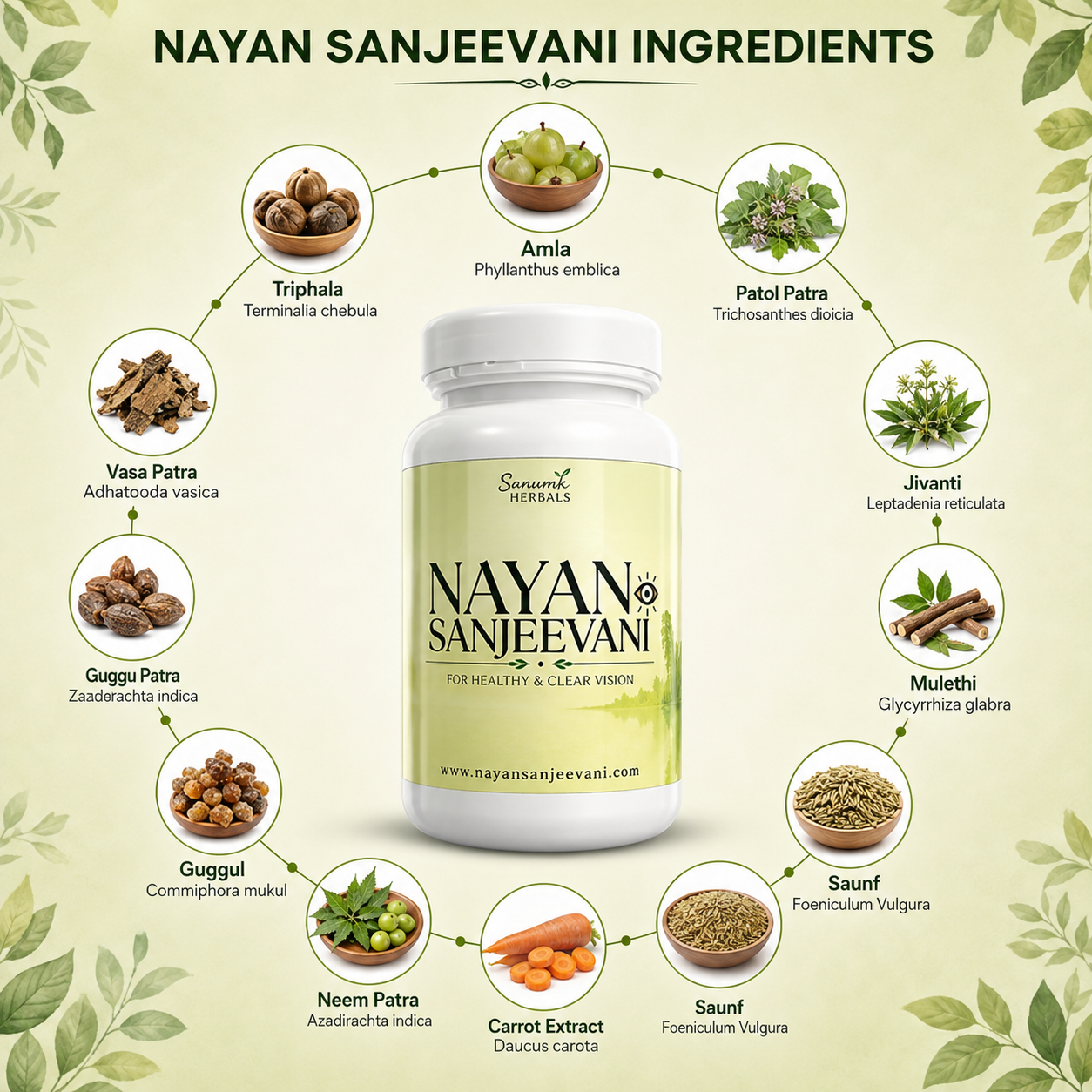 NayanSanjeevani – Ayurvedic Medicine for Eyes & Vision Wellness - Image 3